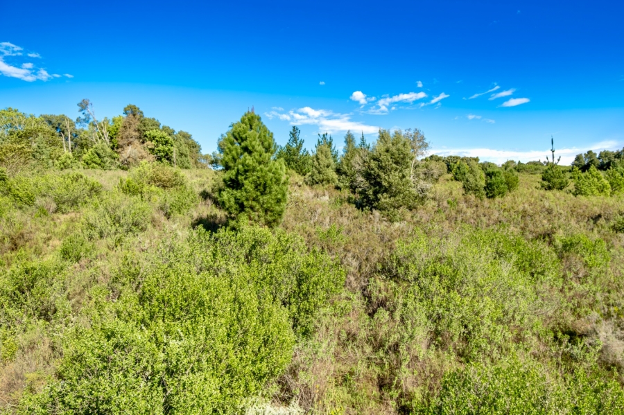  Bedroom Property for Sale in Wilderness Heights Western Cape